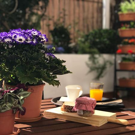 Eixample Modernista Apartment 바르셀로나 외부 사진